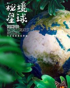 社保4050政策游戏画面