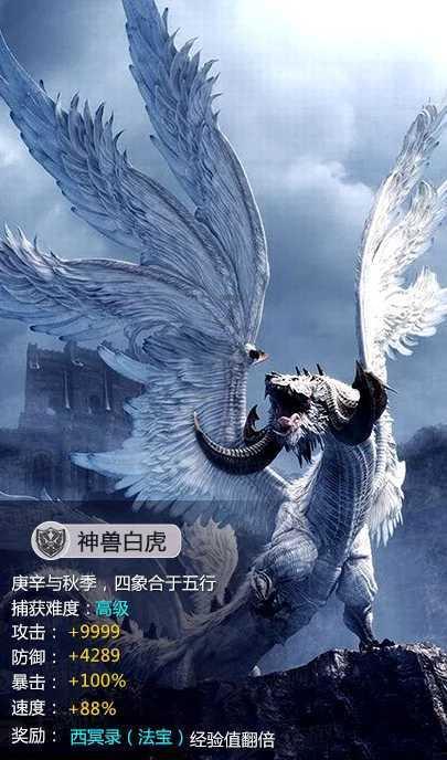 市委书记“把脉”青岛