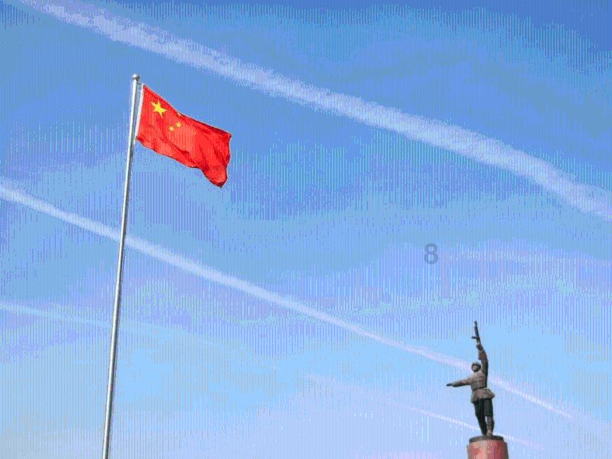 我不再让你孤单:老年人和高龄宠物该何去何从?