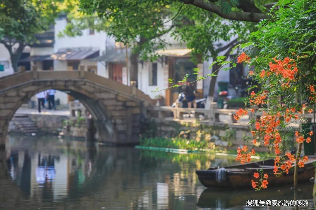 救援受困的火鸡